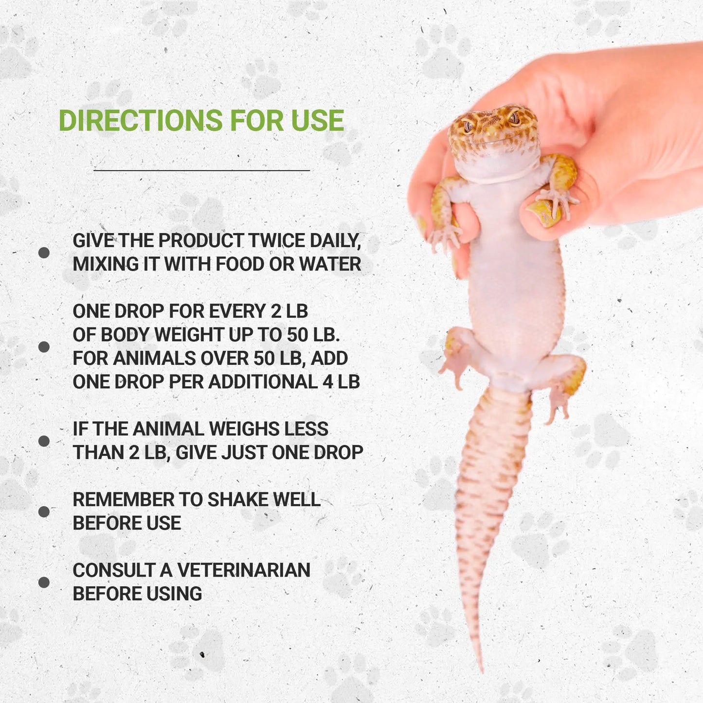 Reptilian bones - Healthy Bones Support in Reptiles