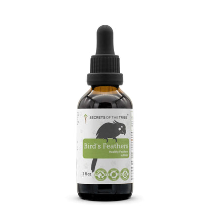 Bird's Feathers - Healthy Feathers Support in Birds