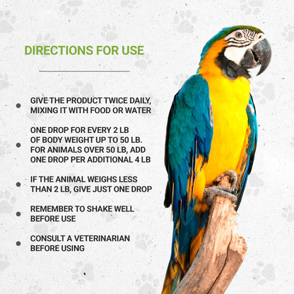 Bird's Feathers - Healthy Feathers Support in Birds