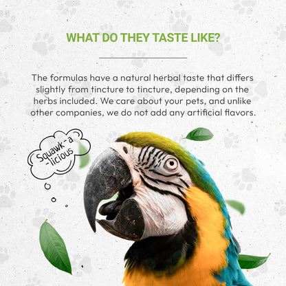 Bird's Respiratory - Healthy Respiratory System Support in Birds
