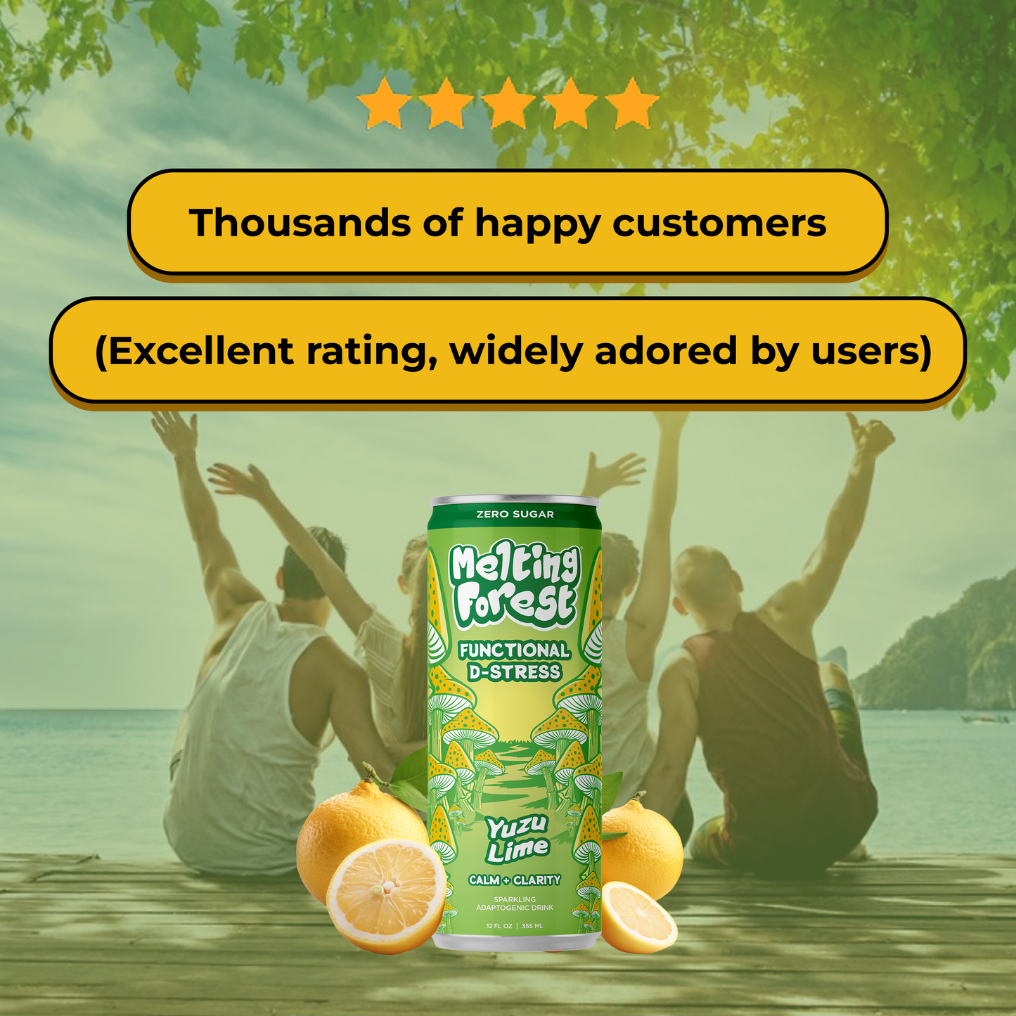 Mushroom D-Stress Drink 12 Pack - Yuzu Lime