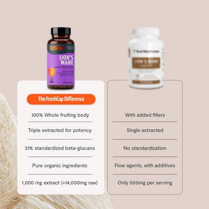 Organic Lion’s Mane Capsules