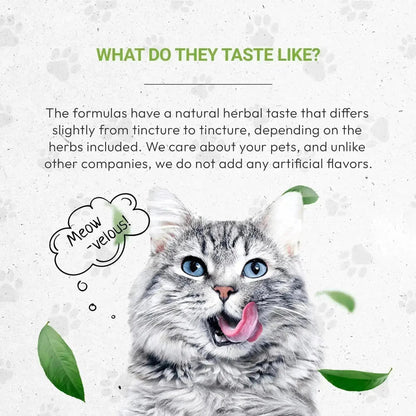 Lion's Joints - Healthy Joint Support in Cats