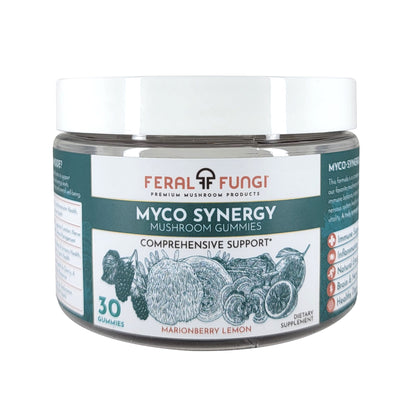 Myco-Synergy Mushroom Gummies