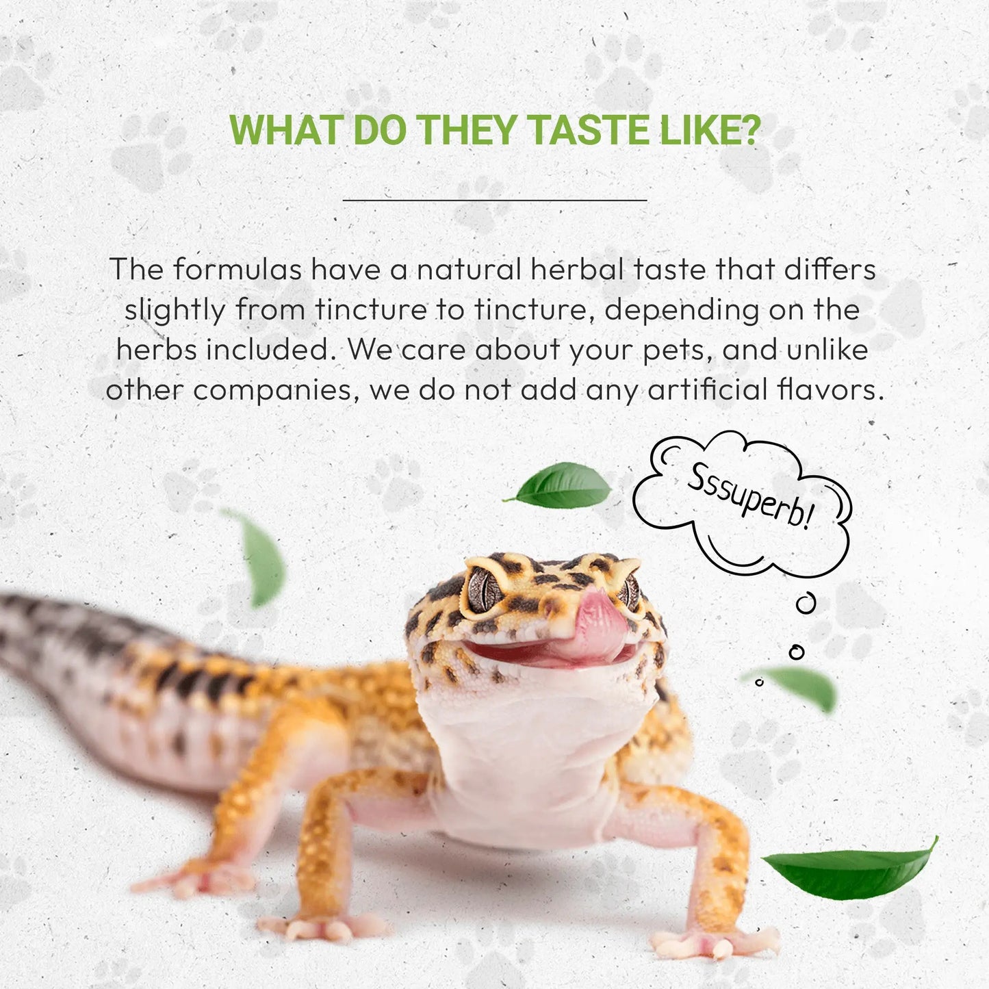Reptilian bones - Healthy Bones Support in Reptiles