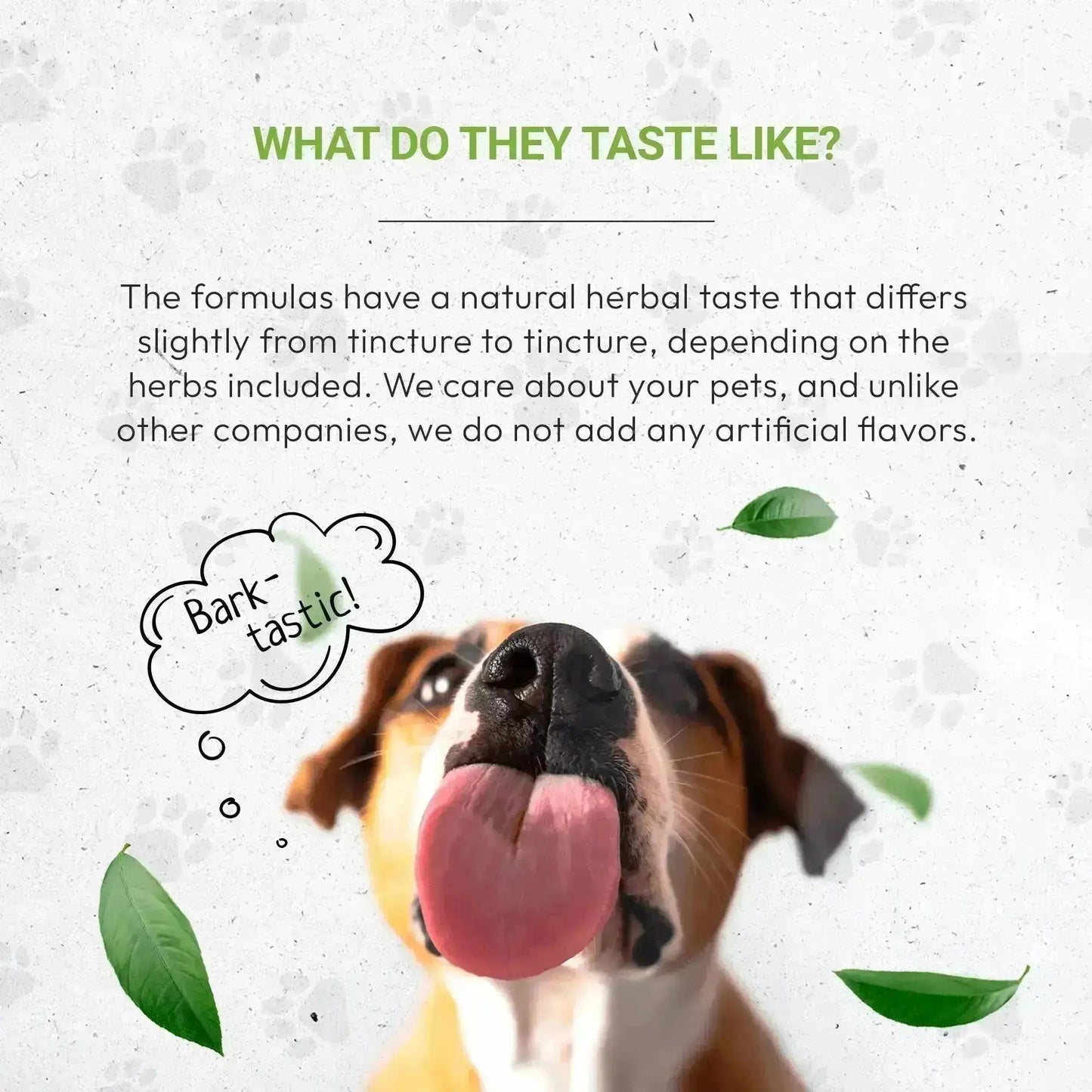 Wolf's Immune Boost - Healthy Immunity Support in Dogs