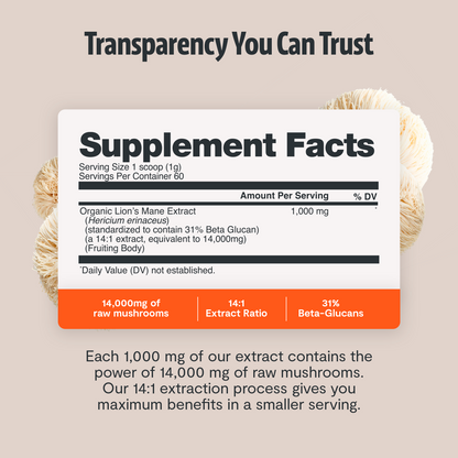 Organic Mushroom Complex Supplement Capsules