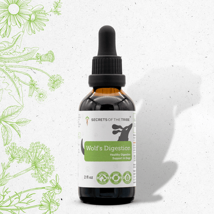 Wolf's Digestion - Healthy Digestion Support in Dogs